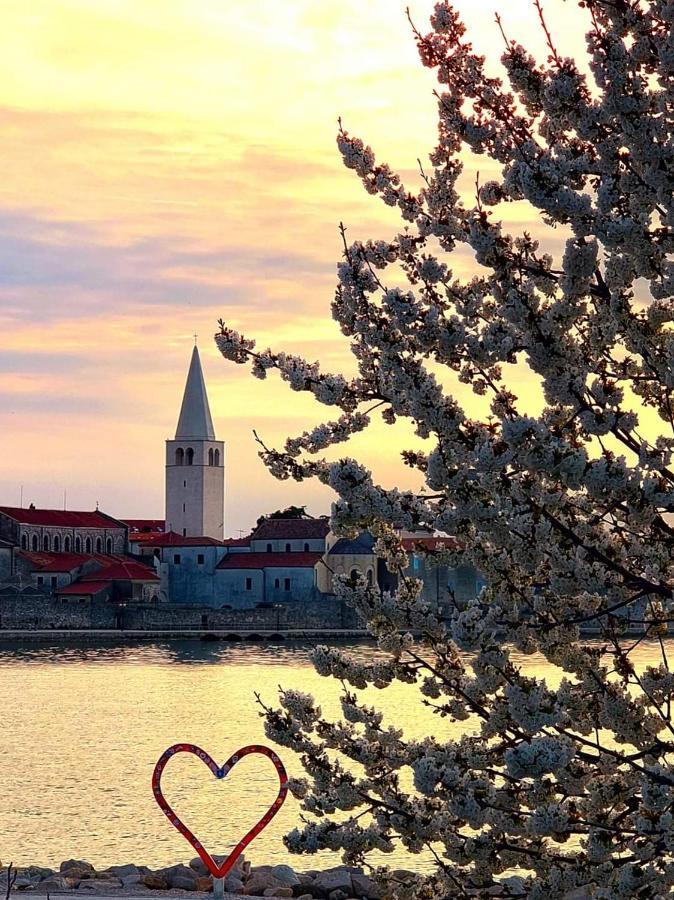 Apartman Perla Deluxe Poreč Buitenkant foto